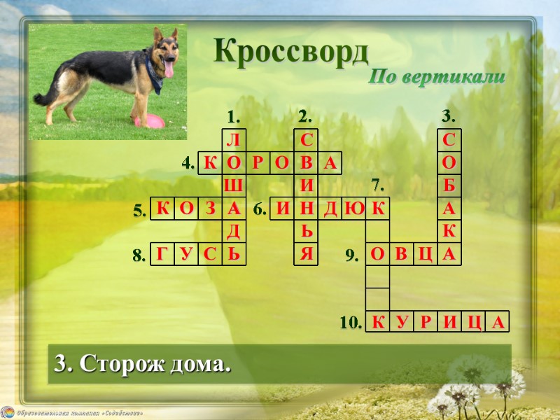 Кроссворд 3. Сторож дома.  По вертикали